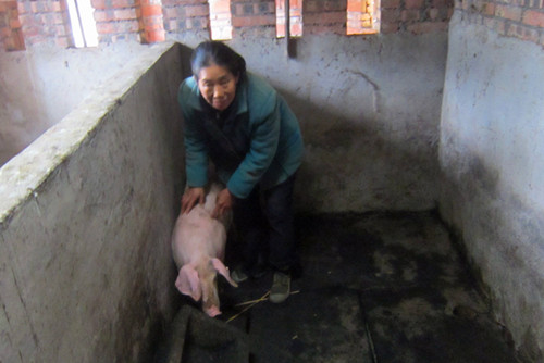 1206_看圖王_副本